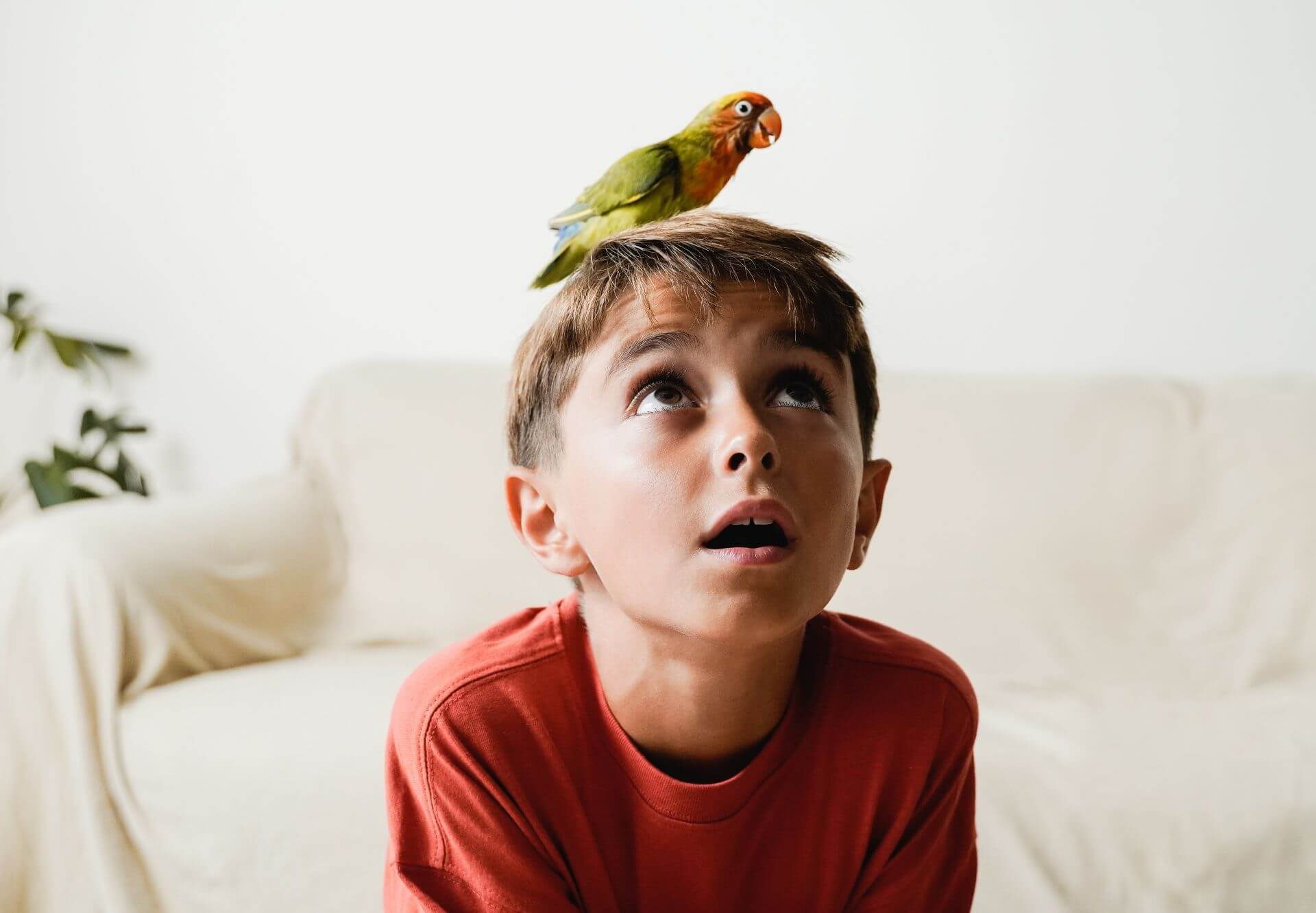 Kind hat Papagei auf dem Kopf
